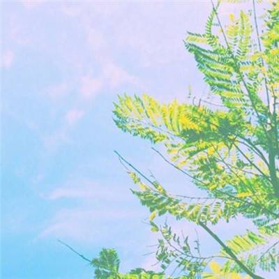 乾坤一剑破解版下载